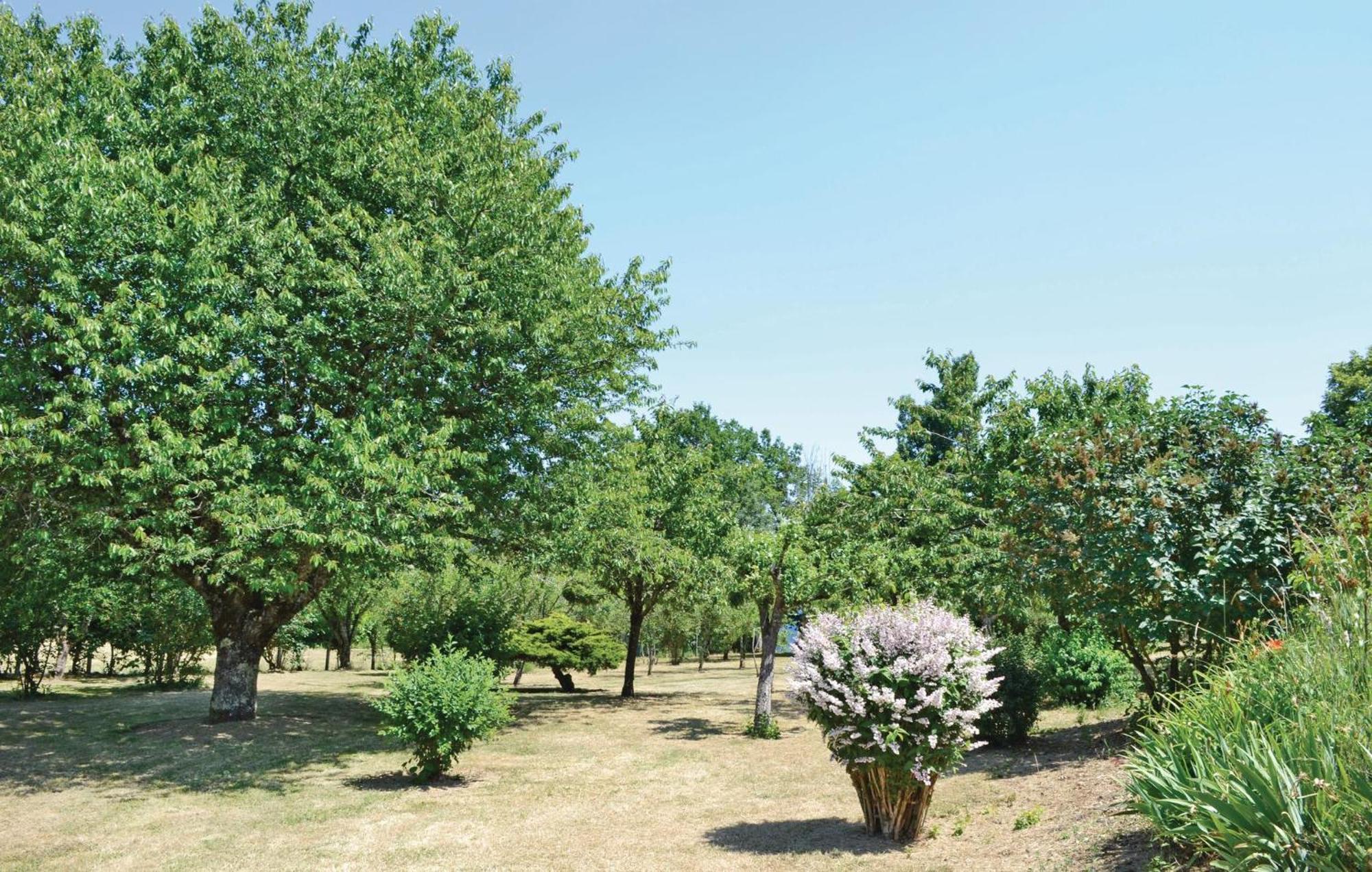 Amazing Home In Ladornac With Kitchen La Dornac エクステリア 写真