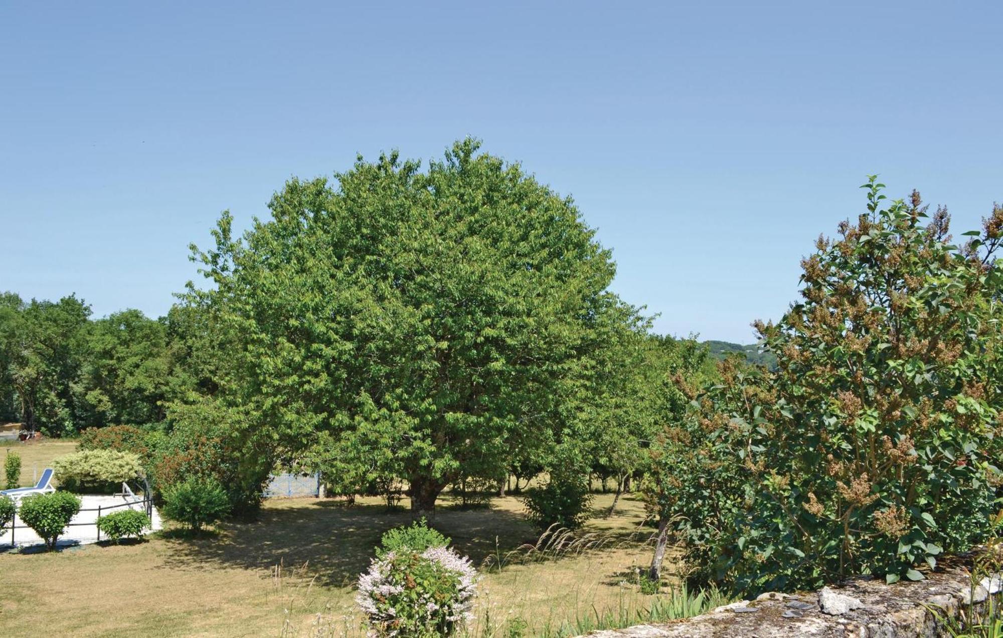 Amazing Home In Ladornac With Kitchen La Dornac エクステリア 写真